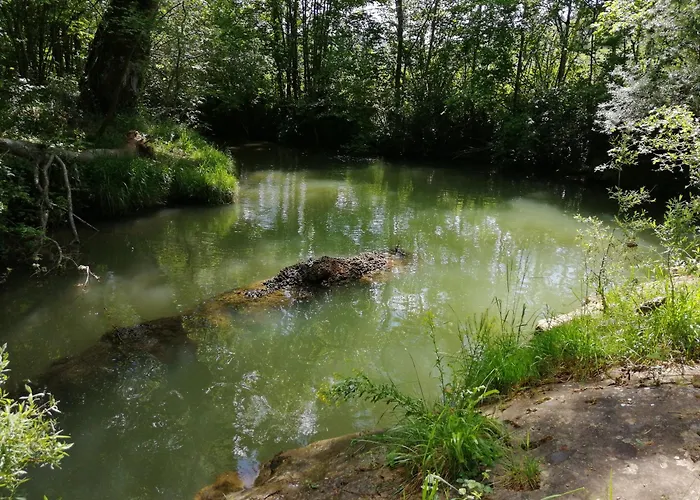Mobilhome Ferme Equestre La Mouillere